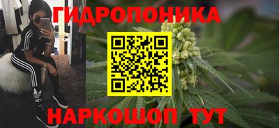 apvp Обь